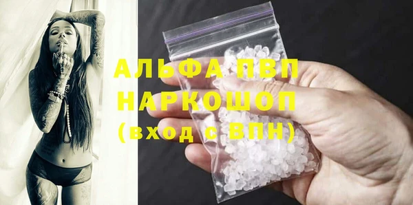 a pvp Новозыбков