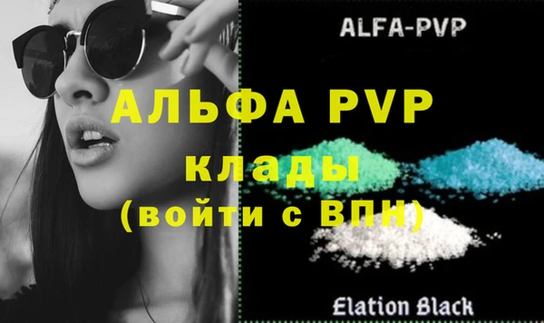 a pvp Новозыбков