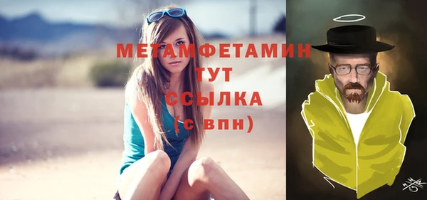 сатива Новокубанск