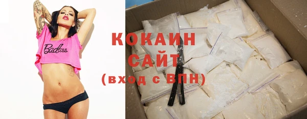 a pvp Новозыбков