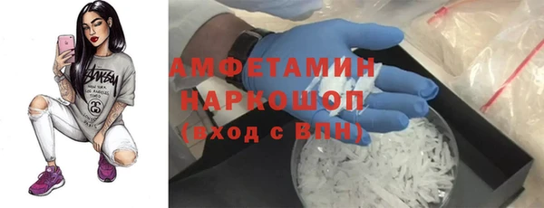 сатива Новокубанск
