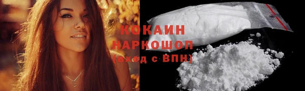 сатива Новокубанск