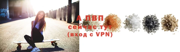 сатива Новокубанск