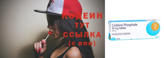 a pvp Новозыбков