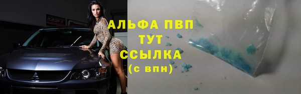 сатива Новокубанск