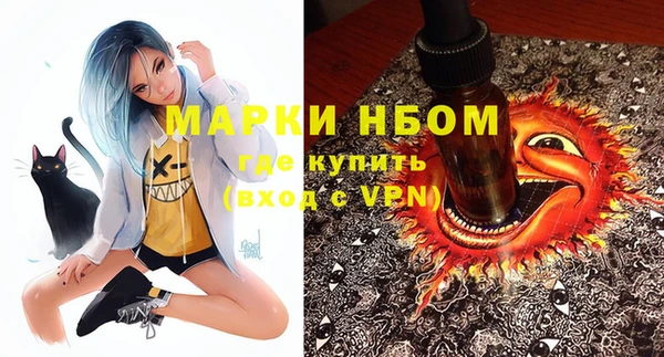 a pvp Новозыбков