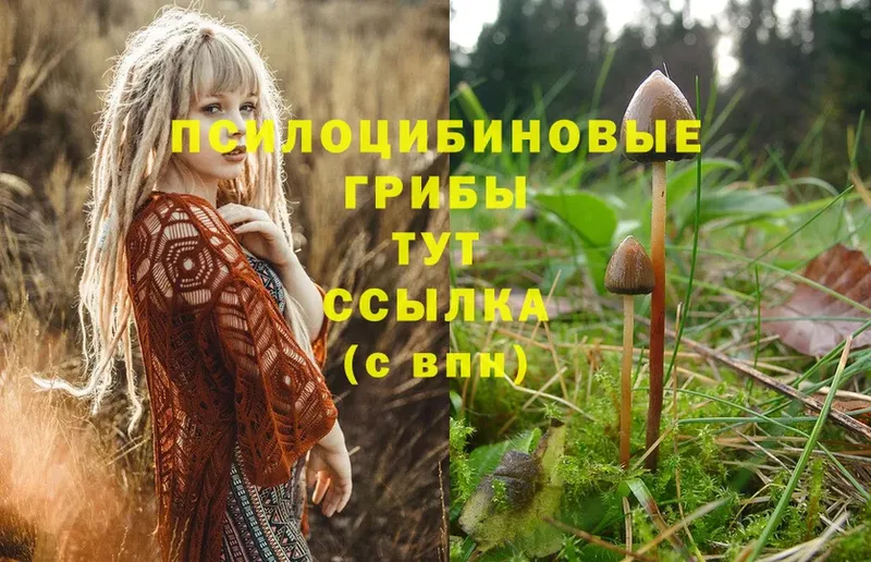 Галлюциногенные грибы Magic Shrooms  Ярцево 