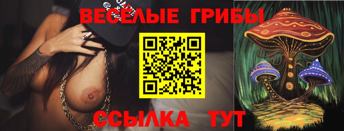 Ярцево  Галлюциногенные грибы Psilocybine cubensis  Вход с VPN 